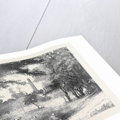 View in Phoenix Park, Dublin, Ireland by Anonymous