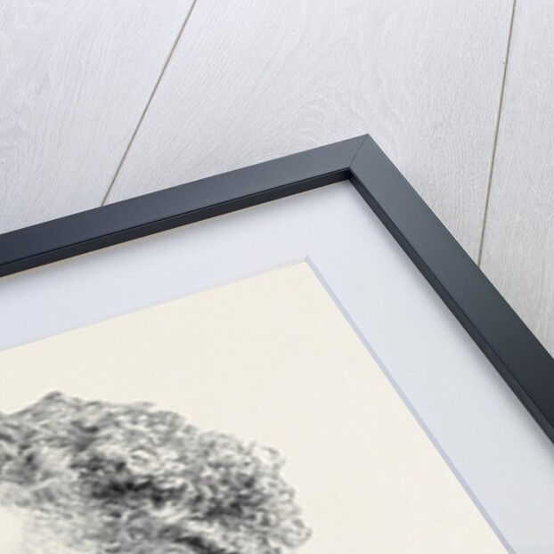 Mr. Henry Woods, the New Associate of the Royal Academy by Anonymous