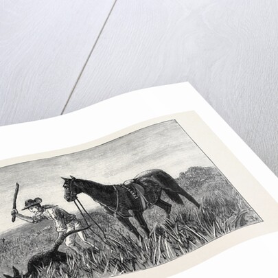 Wallaby Hunting, Queensland by Anonymous