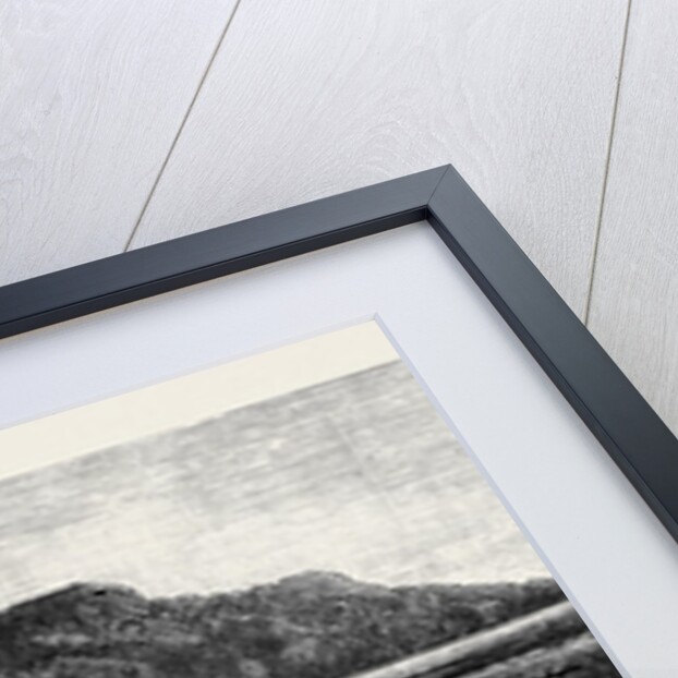 Duck Shooting in Bellary, Madras by Anonymous