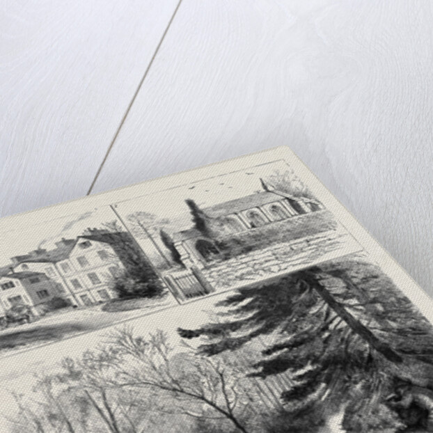 Ireland, the Assassination of Mrs. Henry Smythe by Anonymous