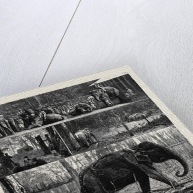 The Young Princes on Their Cruise; at an Elephant Kraal Near Awisawella, Ceylon by Anonymous