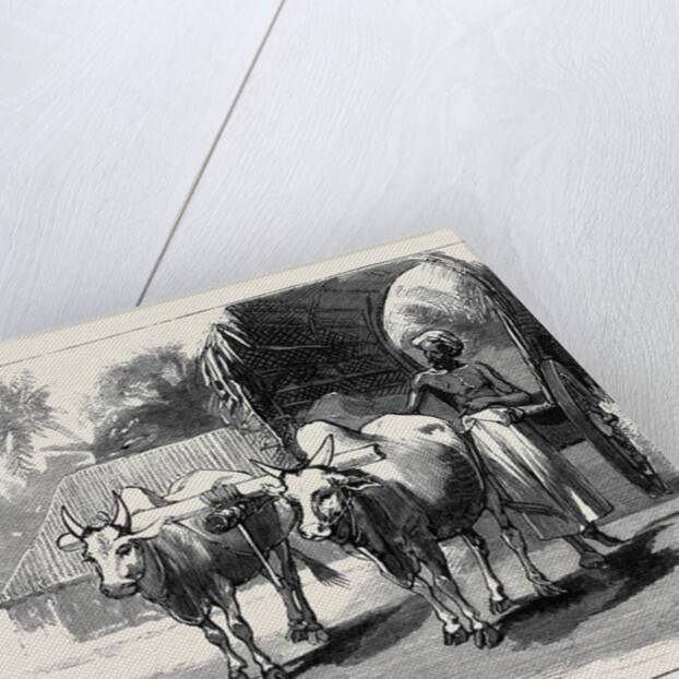 Round the World Yachting in the Ceylon, Ceylon: A Bullock-Cart by Anonymous