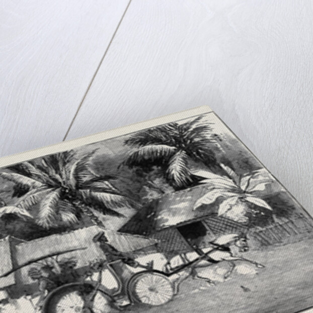 Round the World Yachting in the Ceylon, Ceylon: Our Drive to Wakwallah by Anonymous