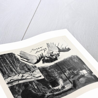 Moose Hunting in Nova Scotia by Anonymous
