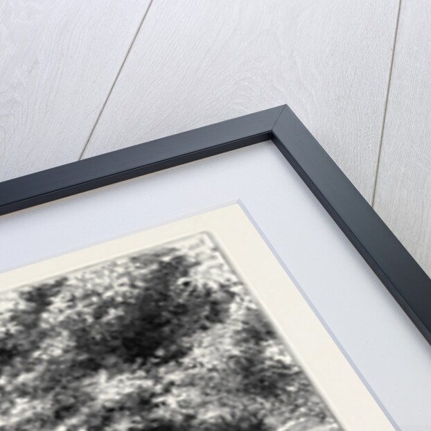 The Young Princes on Their Cruise: A Picnic at the Temple of Ten Thousand Rocks on Amoy Island by Anonymous