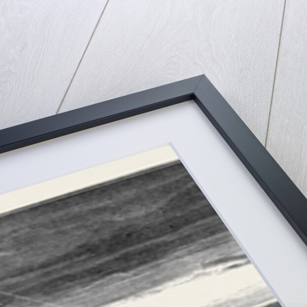 Loss of the American Arctic Exploring Vessel Jeanette: The Jeannette by Anonymous