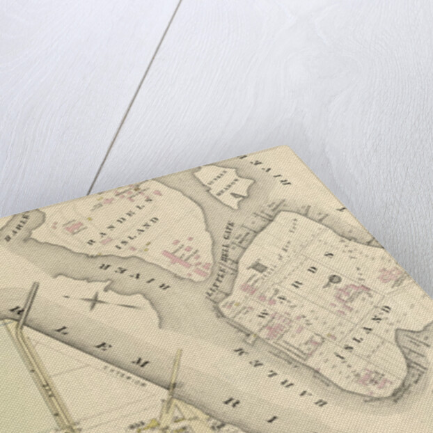 Part of Ward 12, New York City by Anonymous