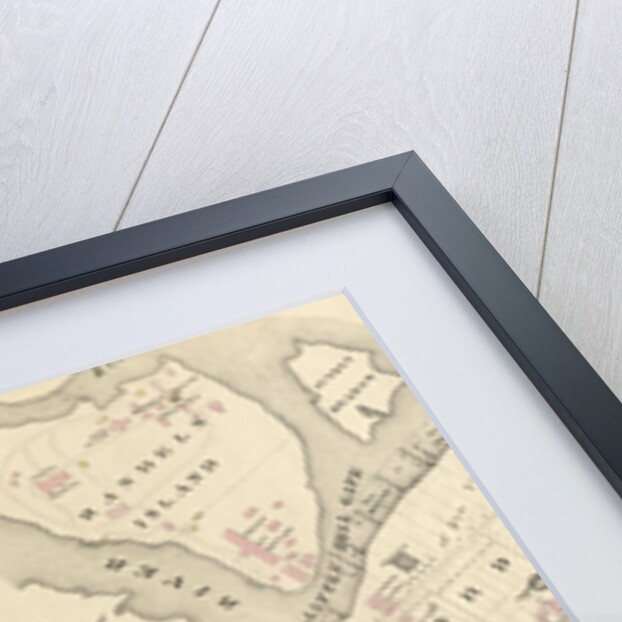 Part of Ward 12, New York City by Anonymous