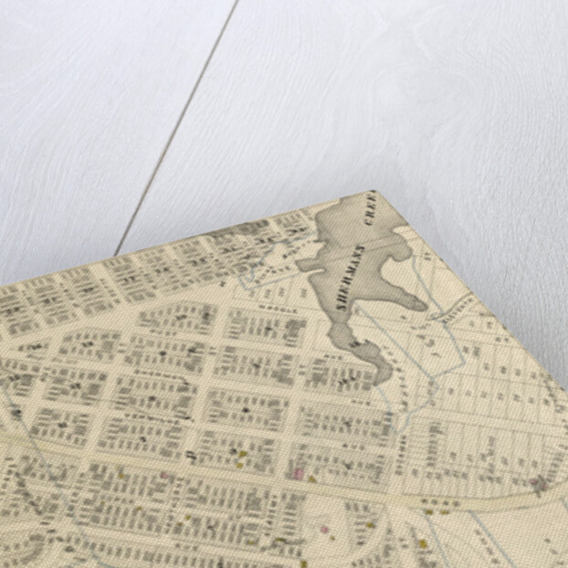 Part of Ward 12, New York City by Anonymous