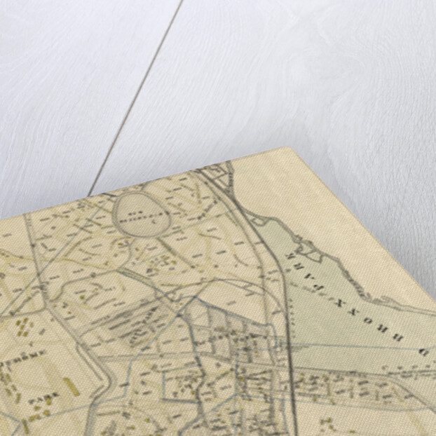 Part of Ward 24, New York City by Anonymous