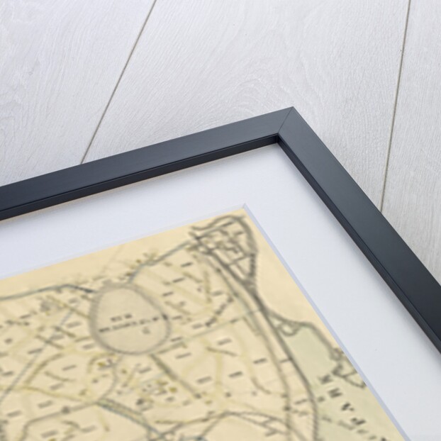 Part of Ward 24, New York City by Anonymous