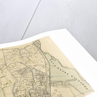 Part of Ward 24, New York City by Anonymous