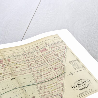 Part of Wards 11 & 20 City of Brooklyn, New York by Anonymous