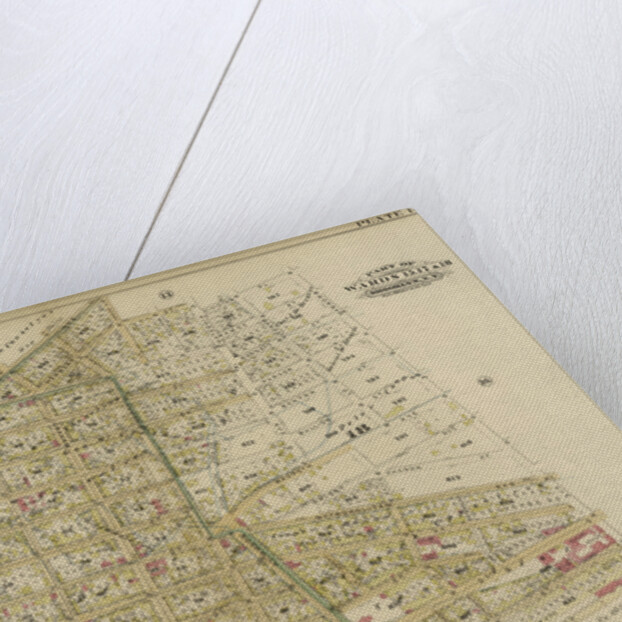 Part of Wards 15, 17 & 18. Brooklyn, N.Y by Anonymous