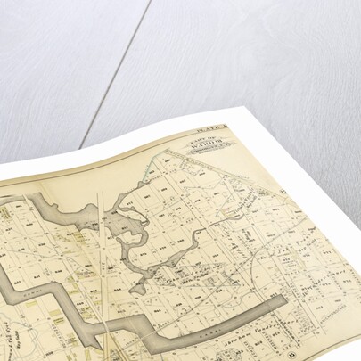 Bounded by Newtown Creek Seneca Avenue, Flushing Avenue, Grattan Street, Knickerbocker Avenue, Morgan Avenue, Amos Street, Gardner Avenue, Maspeth Avenue, Scott Street and Bullion Street, New York by Anonymous