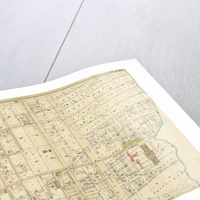 Bounded by Kingston Avenue, Malabone Street, New York Avenue, Montgomery Street, Rogers Avenue, Crown Street, Bedford Avenue and Herkimer Street, New York by Anonymous