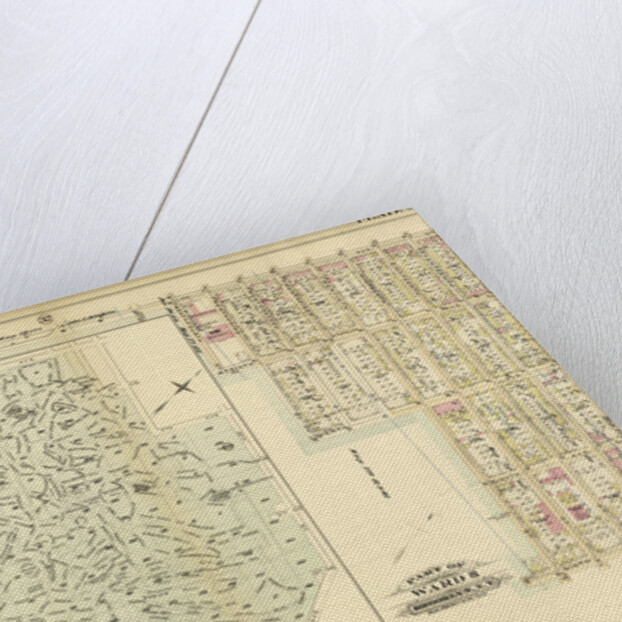 Part of Ward 8. Brooklyn, N.Y by Anonymous