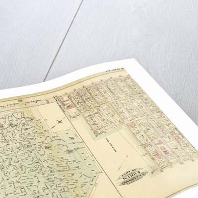 Part of Ward 8. Brooklyn, N.Y by Anonymous