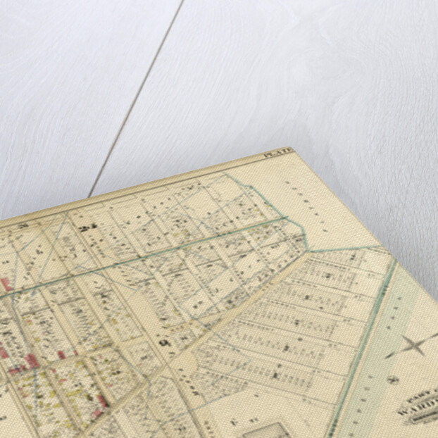 Part of Wards 9 & 24. Brooklyn, N.Y by Anonymous