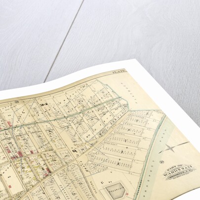 Part of Wards 9 & 24. Brooklyn, N.Y by Anonymous