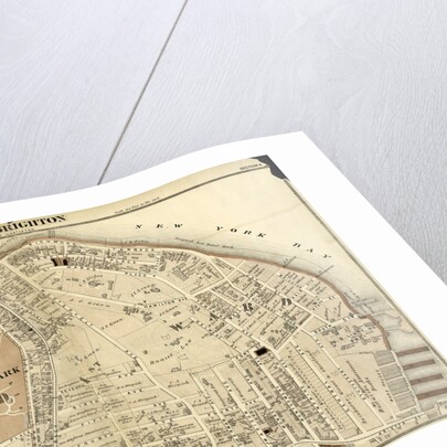 Part of New Brighton: Town of Castleton, New York by Anonymous