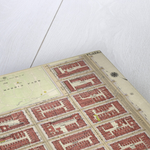 Plat 10: Part of Section 6, New York by Anonymous