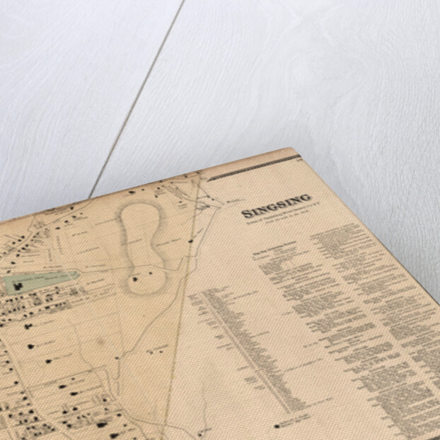 Sinsing, Town of Ossining, Westchester Co.N.Y by Anonymous