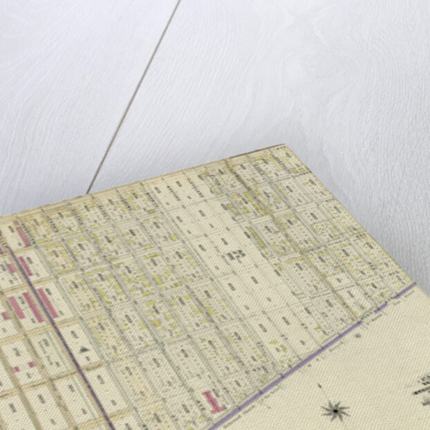 Bounded by Pitkin Avenue, Berriman Street, New Lots Avenue and Williams Avenue, New York by Anonymous