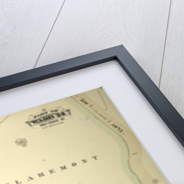 Part of Ward 24, Section 11. Bounded by Belmont Street, Clay Avenue, E. 170th Street and Walton Avenue, New York by Anonymous