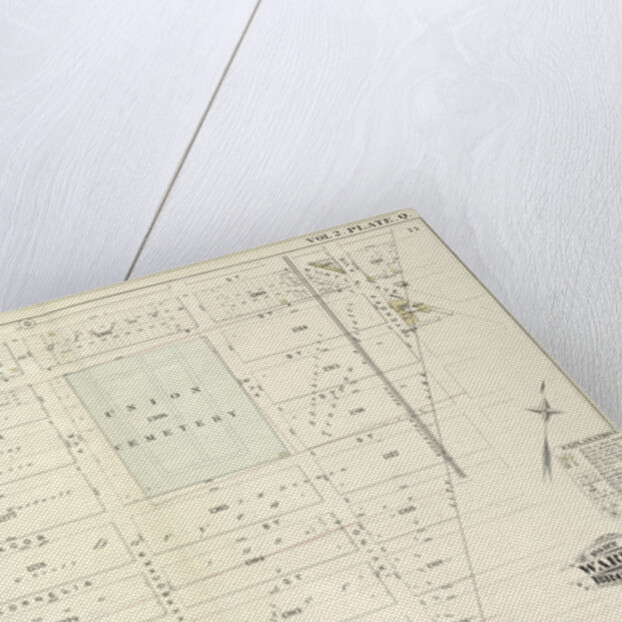 Map bound by Magnolia St., City Line, Weirfield St., Central Ave; Including Palmetto St., Woodbine St., Ivy St by Anonymous