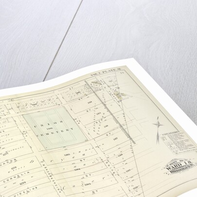 Map bound by Magnolia St., City Line, Weirfield St., Central Ave; Including Palmetto St., Woodbine St., Ivy St by Anonymous