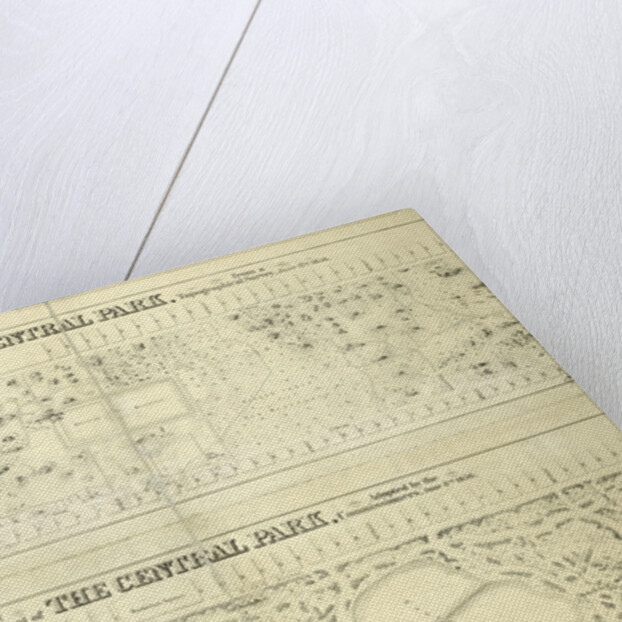 Map of the lands included in the Central Park, from a topographical survey, June 17th, 1856; Also: Plan for the improvement of the Central Park, adopted by the Commissioners, June 3rd, 1856, New York by Anonymous