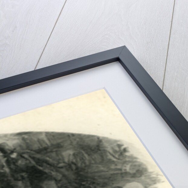 David Copperfield the River by Anonymous