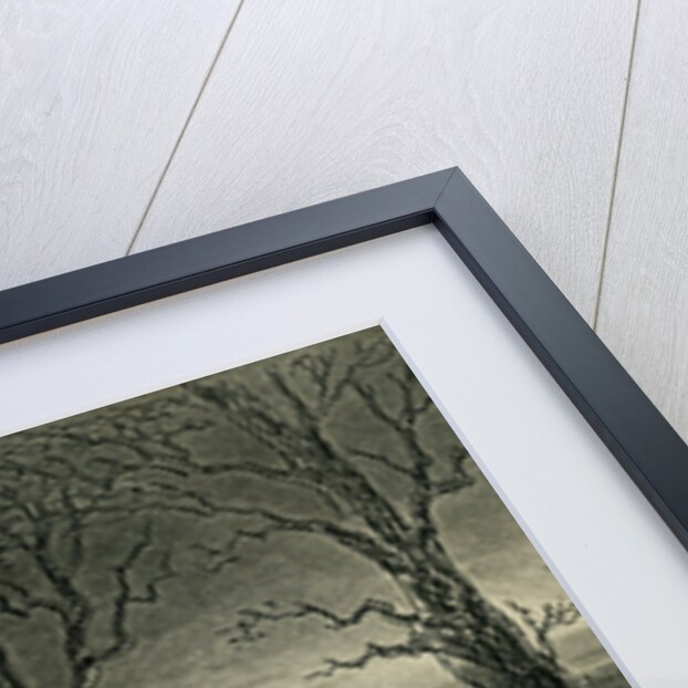 Little Dorrit Making Off by Anonymous