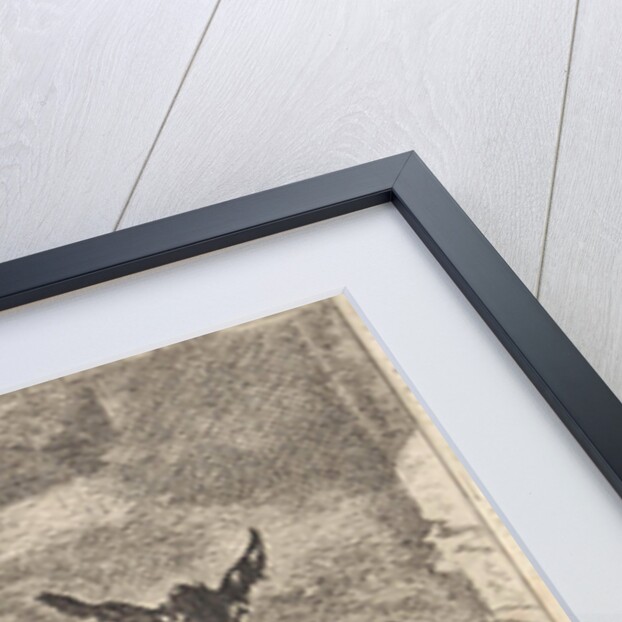 Two donkeys in a manger by Nicolaes Pietersz. Berchem