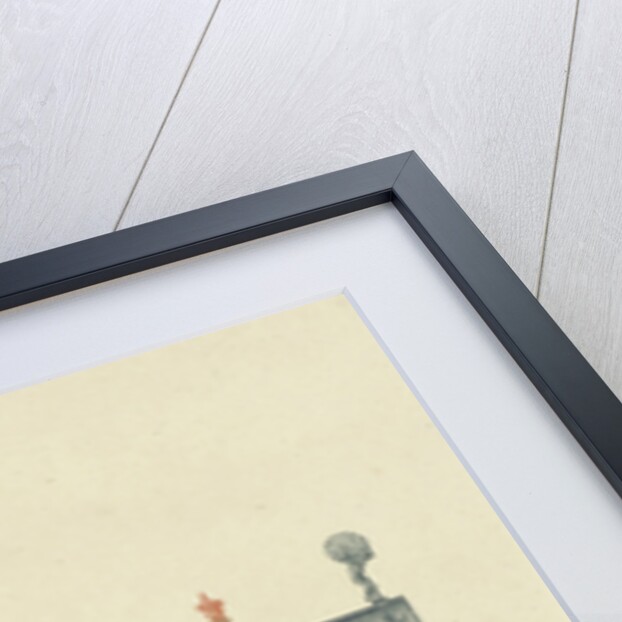 Side wall of the Town Hall in Amsterdam by Johan Teyler