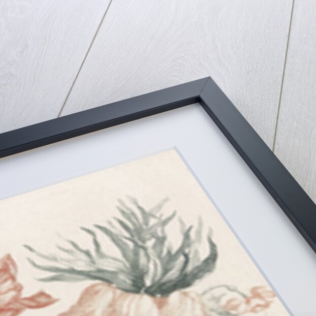 Stone vase with flowers on a platter by Johan Teyler