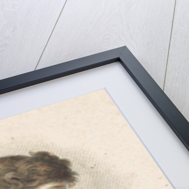 Odor, Ludwig Gottlieb Portman by Schiavonetti