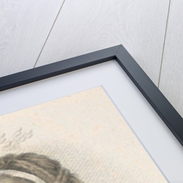 Hearing, Ludwig Gottlieb Portman by Schiavonetti