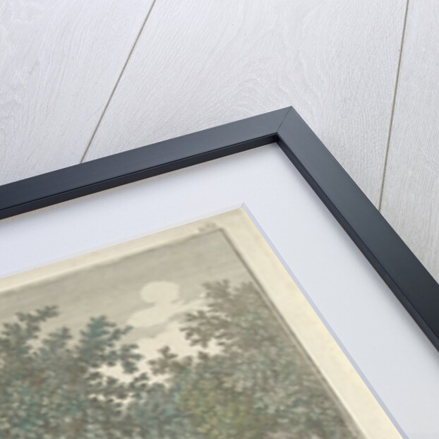 View of the Buitenhof in The Hague, The Netherlands by Georg Balthasar Probst