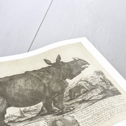 The rhinocerus Clara, 1741 by Johann Georg Schmidt