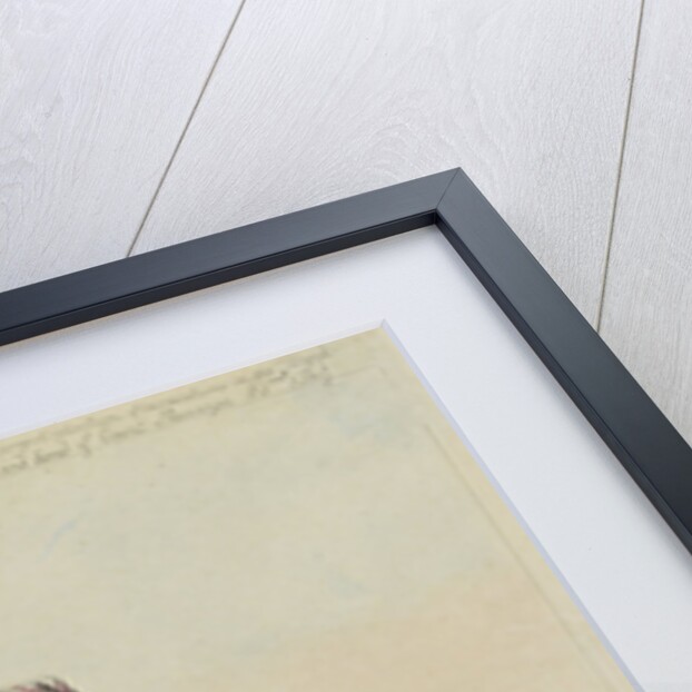 British commander with two Dutch prostitutes by Samuel W. Fores