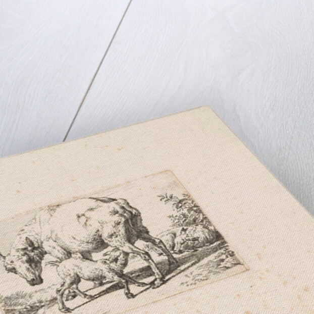 Goat suckling her young by Adriaen van de Velde