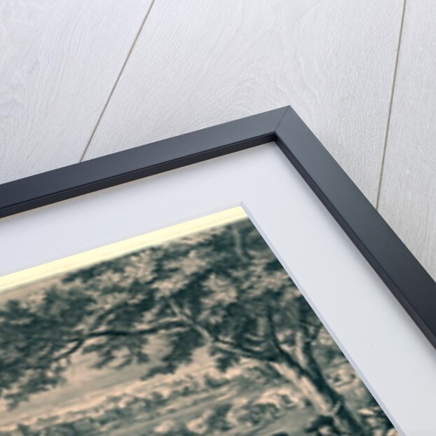 The French armies crossing the Rhine at Lobith by Adam Frans van der Meulen