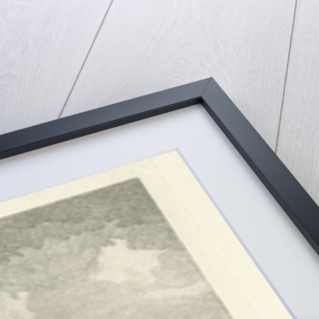 Haringpakkerstoren in Amsterdam by Basan