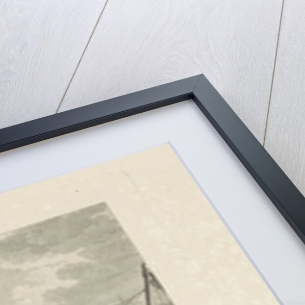 Outbreak of the rebellion in Brabant against the Austrian rule of Emperor Joseph II in 1789 by Paul Jacob Laminit