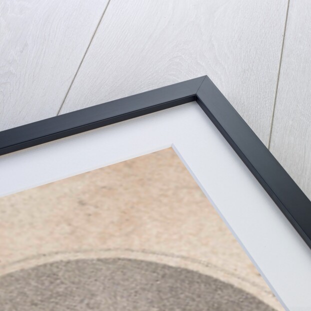 Portrait of Louis Napoleon Bonaparte by Jacob Willem Strunck