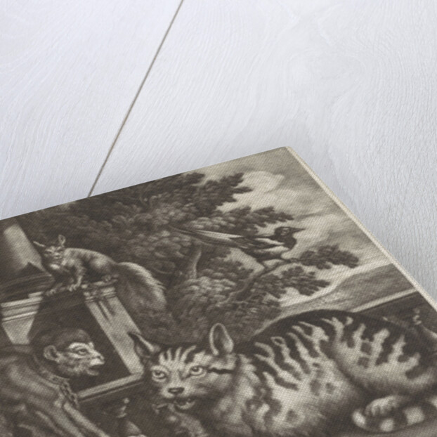 Monkey, cat, squirrel and magpie by Pierce Tempest