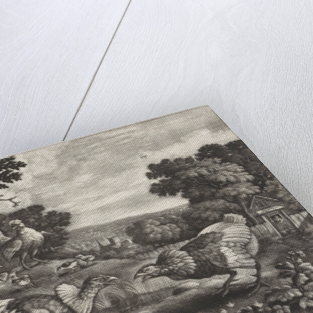 Fighting chickens by Pierce Tempest